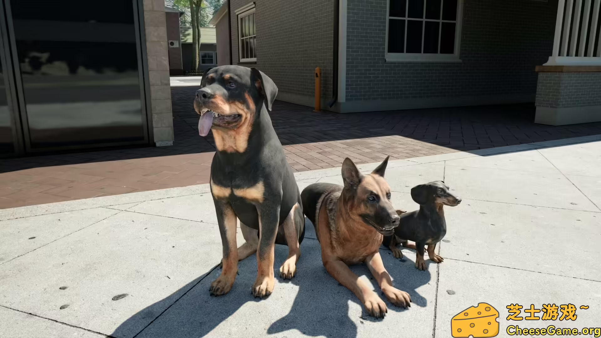 图片[6] [PC]牧场模拟器/Ranch Simulator | 学习版单机游戏免费下载-CheeseGame-芝士游戏