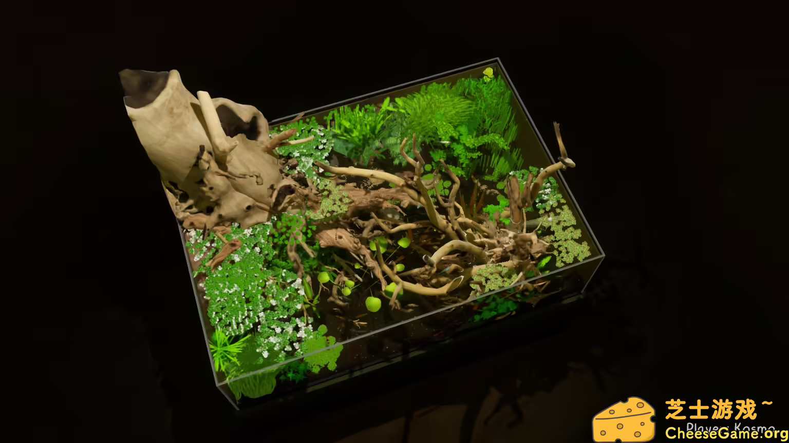 图片[4] [PC]养鱼模拟器/Fish Game | 学习版单机游戏免费下载-CheeseGame-芝士游戏