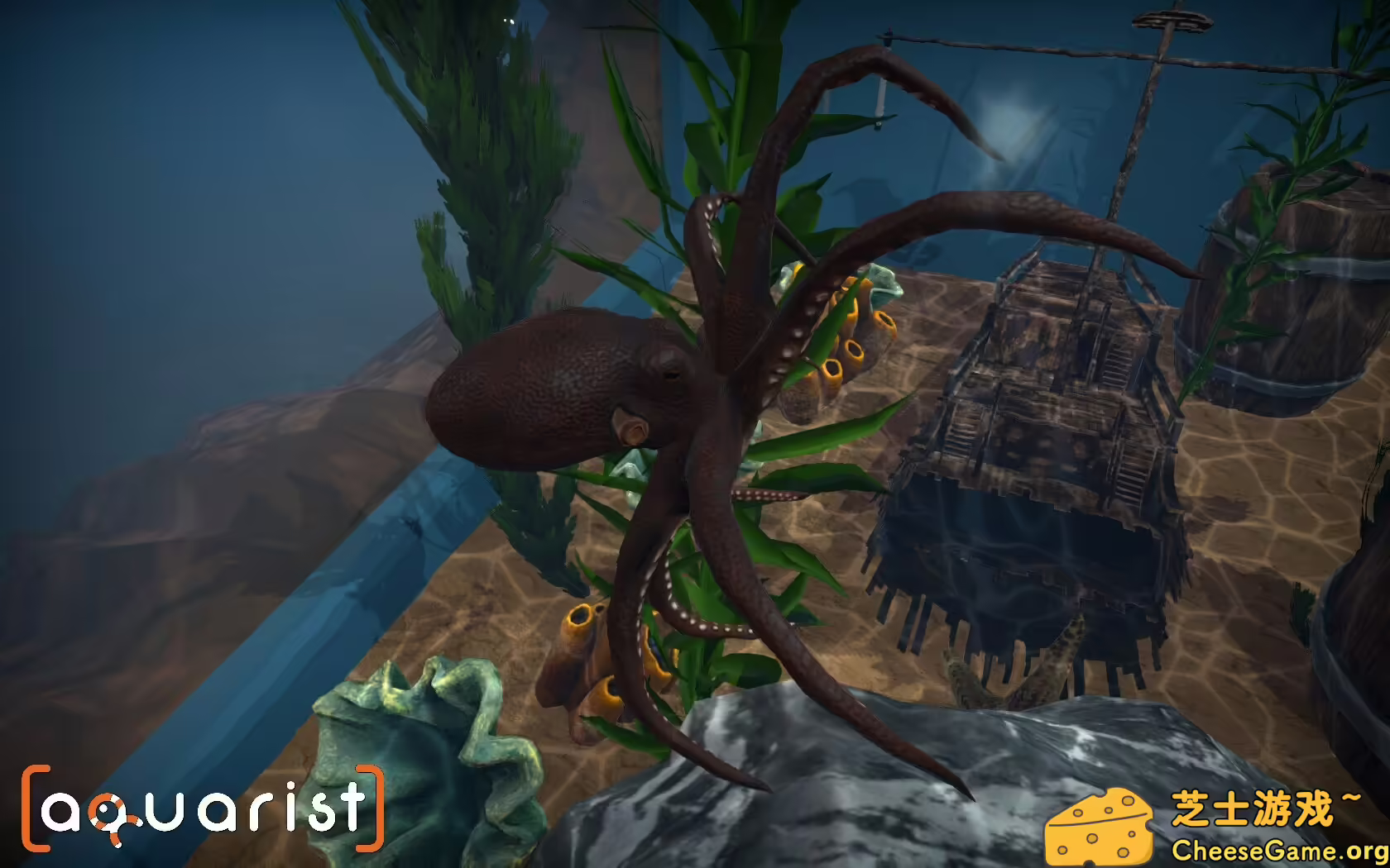 图片[6] [PC]Aquarist - 建造水族馆，养鱼，发展你的事业！ | 学习版单机游戏免费下载-CheeseGame-芝士游戏