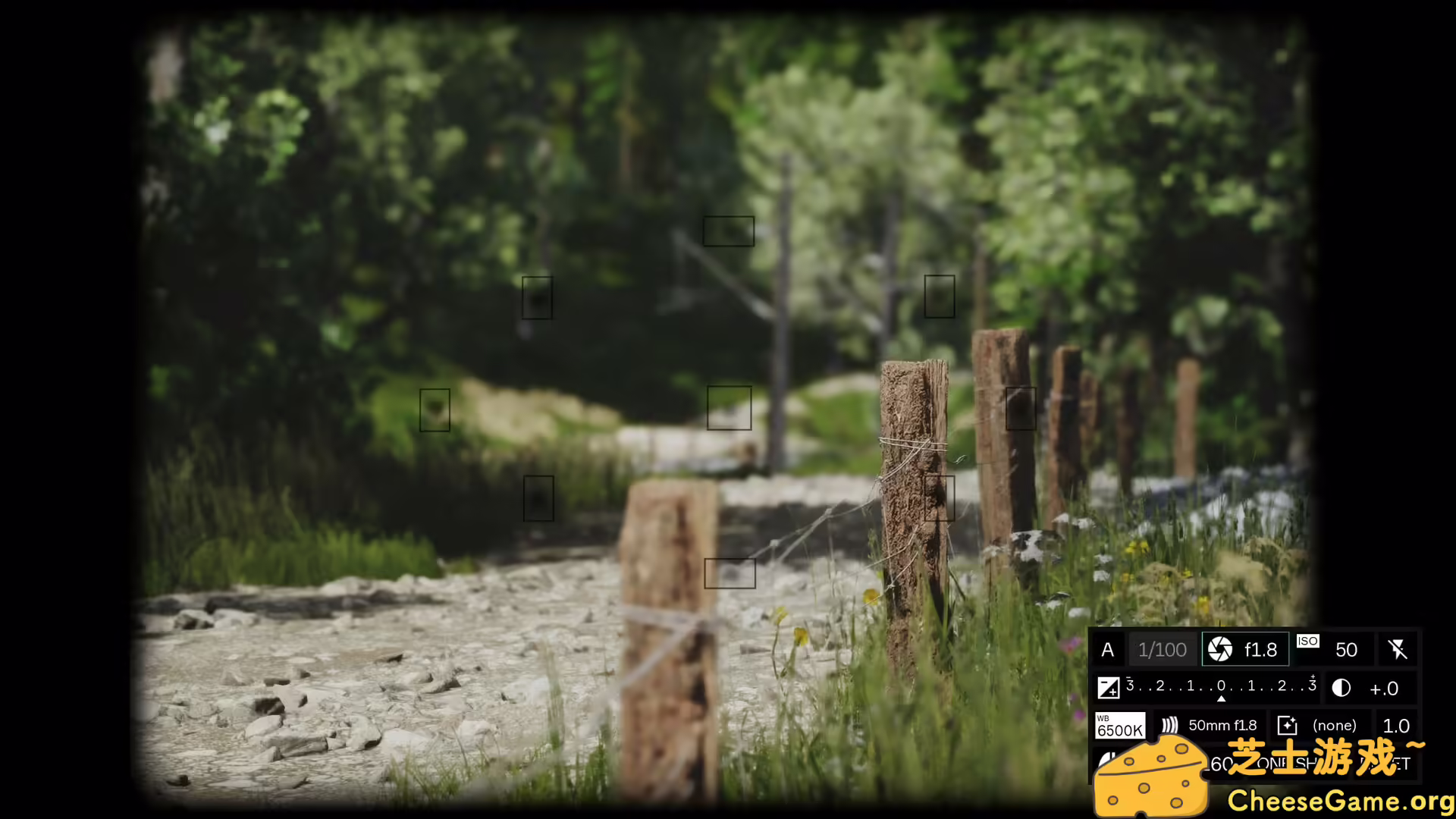 图片[4] [PC]模拟美景摄影/Lushfoil Photography Sim | 学习版单机游戏免费下载-CheeseGame-芝士游戏