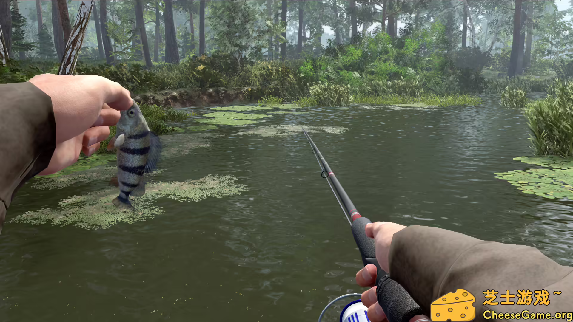 图片[5] [PC]专业钓鱼2/Professional Fishing 2 | 学习版单机游戏免费下载-CheeseGame-芝士游戏