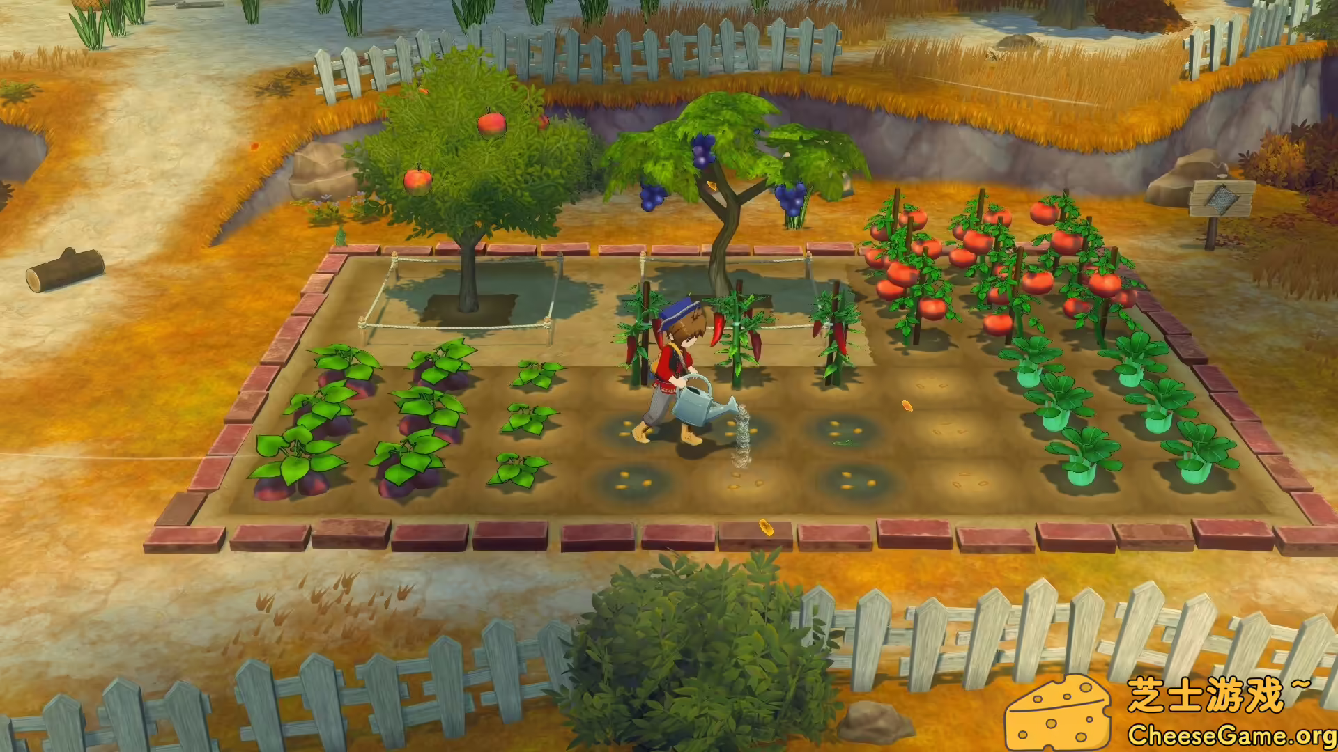 图片[1] [PC]牧场物语 来吧！风之繁华集市/STORY OF SEASONS: Grand Bazaar | 学习版单机游戏免费下载-CheeseGame-芝士游戏