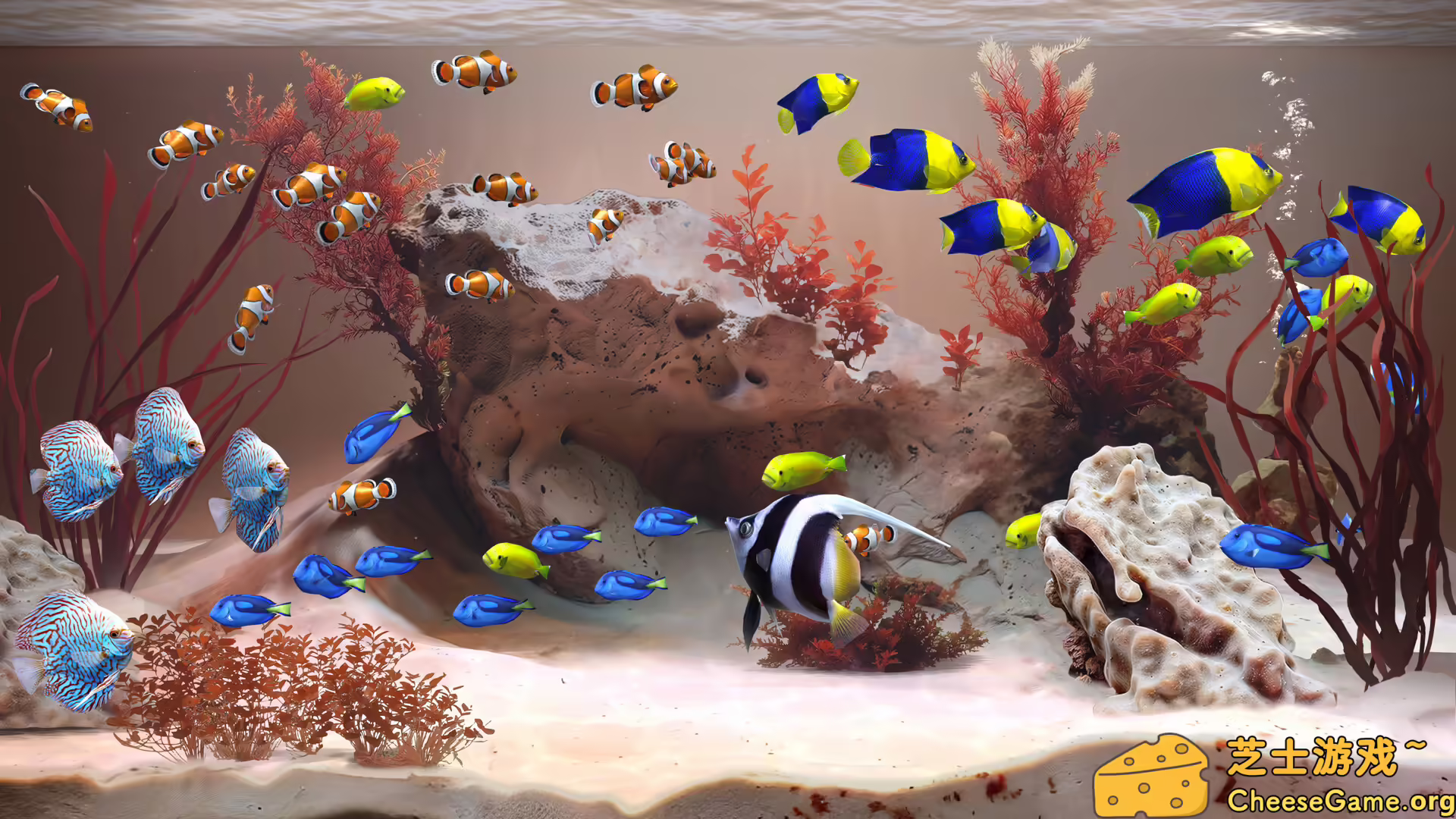 图片[2] [PC]禅意水族馆/Zen Aquarium | 学习版单机游戏免费下载-CheeseGame-芝士游戏