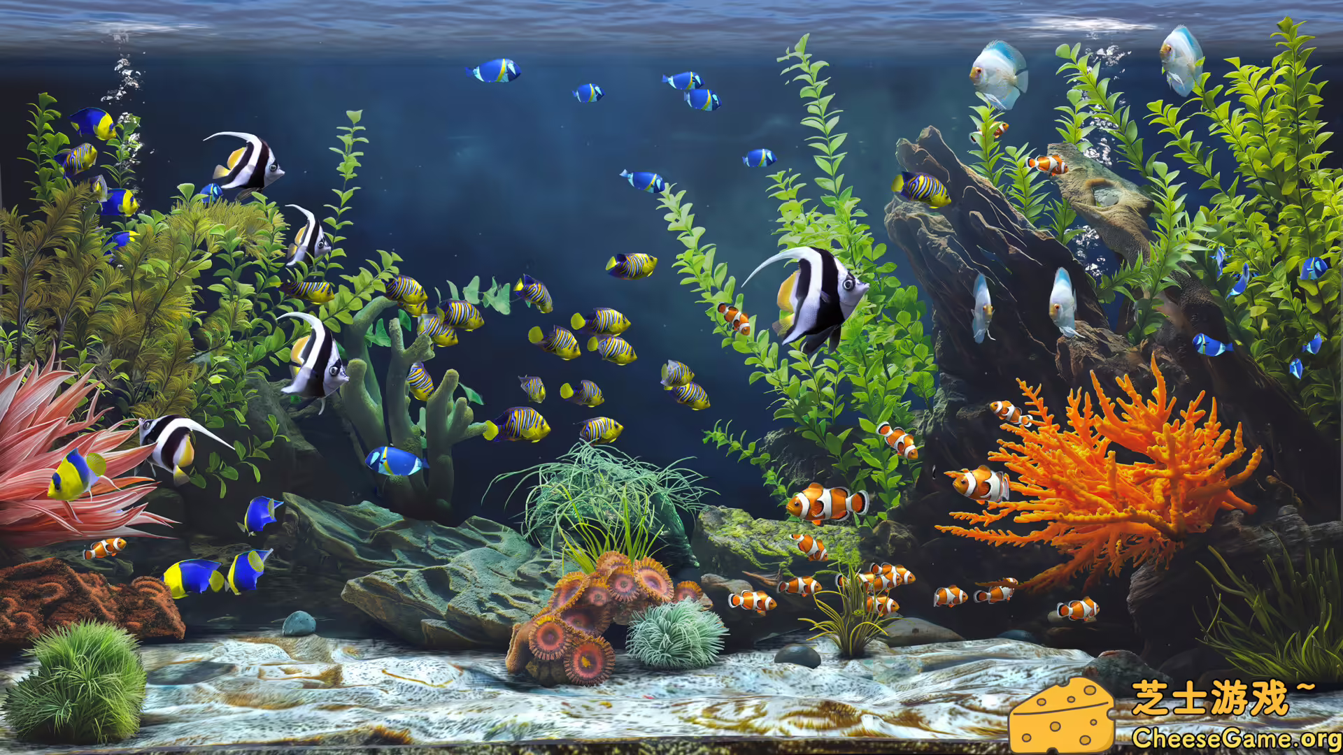 图片[3] [PC]禅意水族馆/Zen Aquarium | 学习版单机游戏免费下载-CheeseGame-芝士游戏