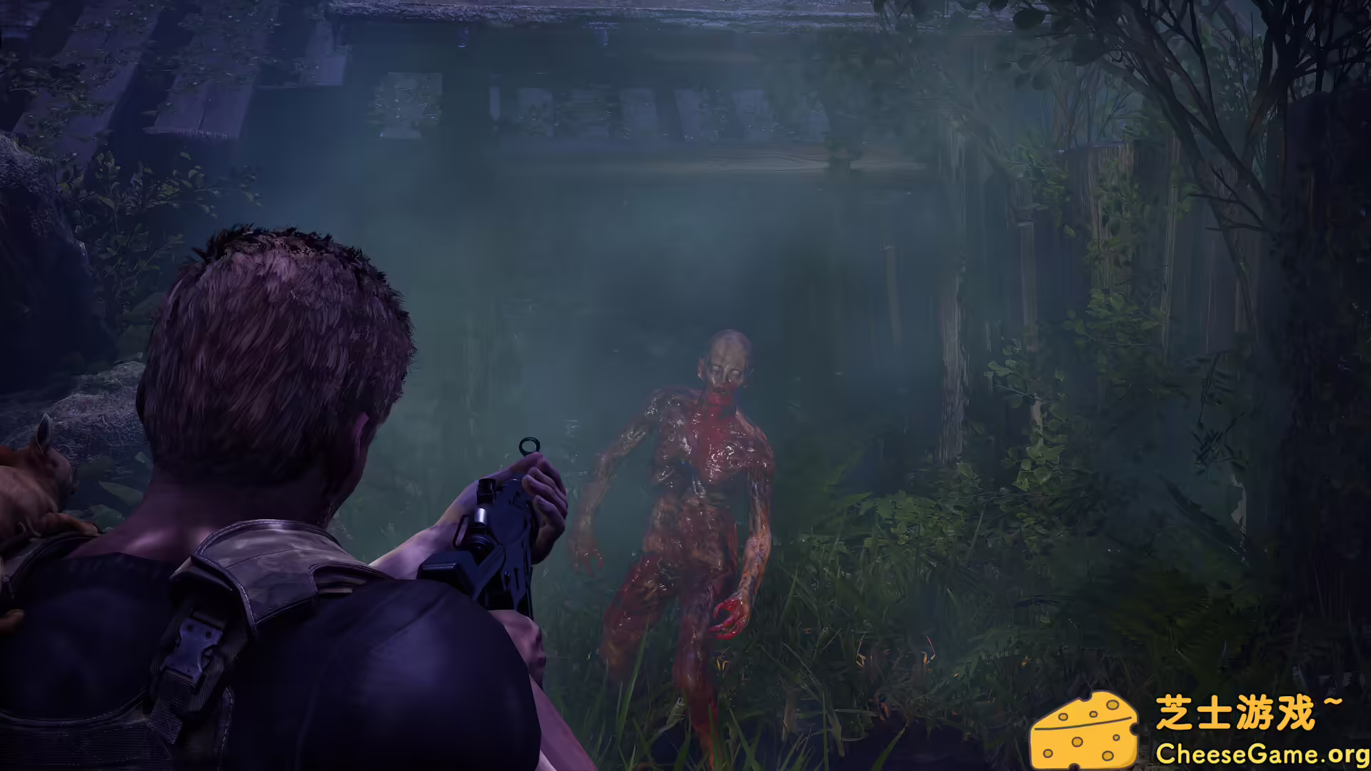 图片[1] [PC]衰变起源/DecayZ Origin | 学习版单机游戏免费下载-CheeseGame-芝士游戏