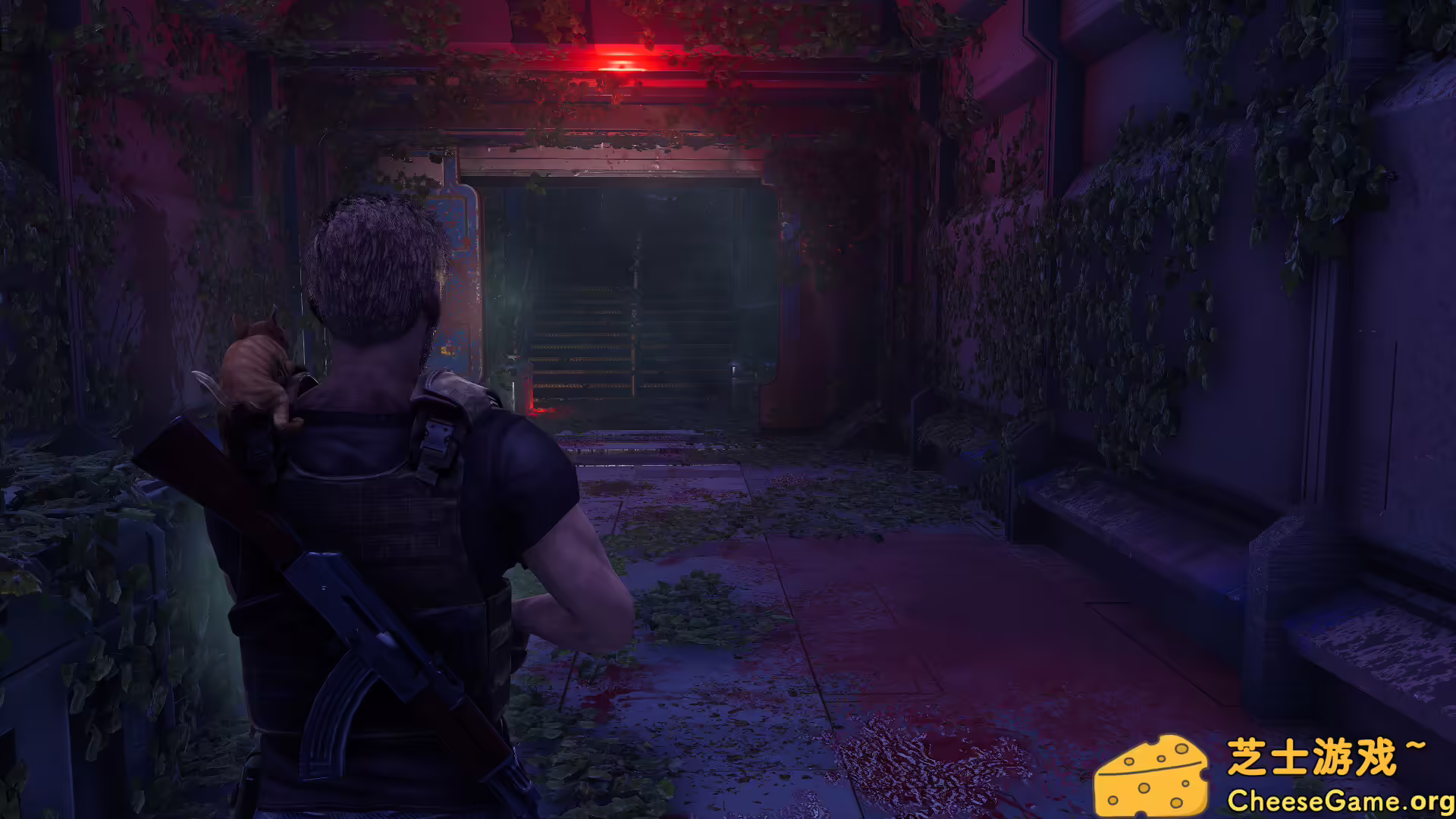 图片[2] [PC]衰变起源/DecayZ Origin | 学习版单机游戏免费下载-CheeseGame-芝士游戏