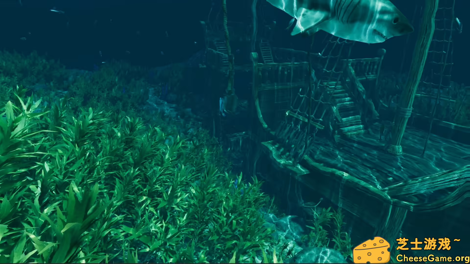 图片[3] [PC]孤岛笔记/Island Notes | 学习版单机游戏免费下载-CheeseGame-芝士游戏