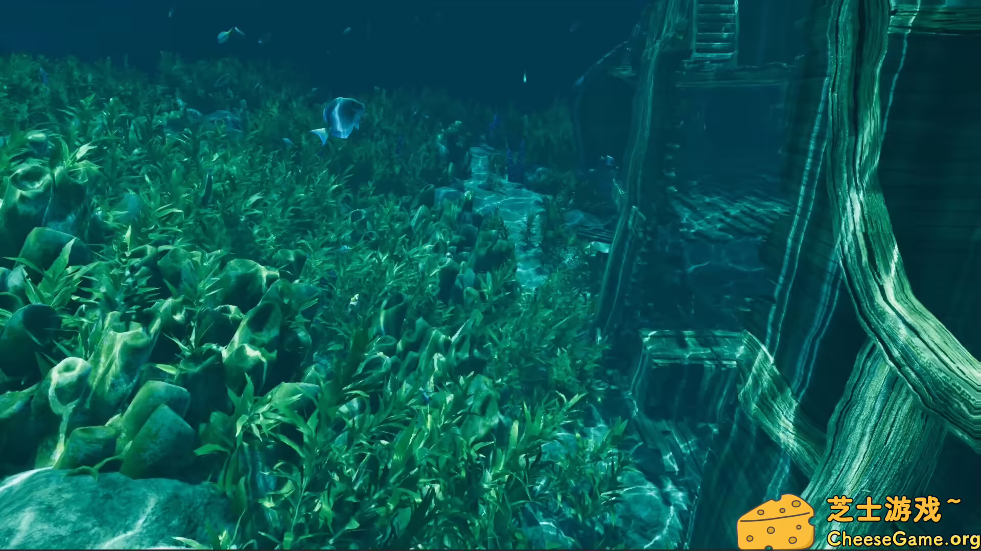 图片[5] [PC]孤岛笔记/Island Notes | 学习版单机游戏免费下载-CheeseGame-芝士游戏