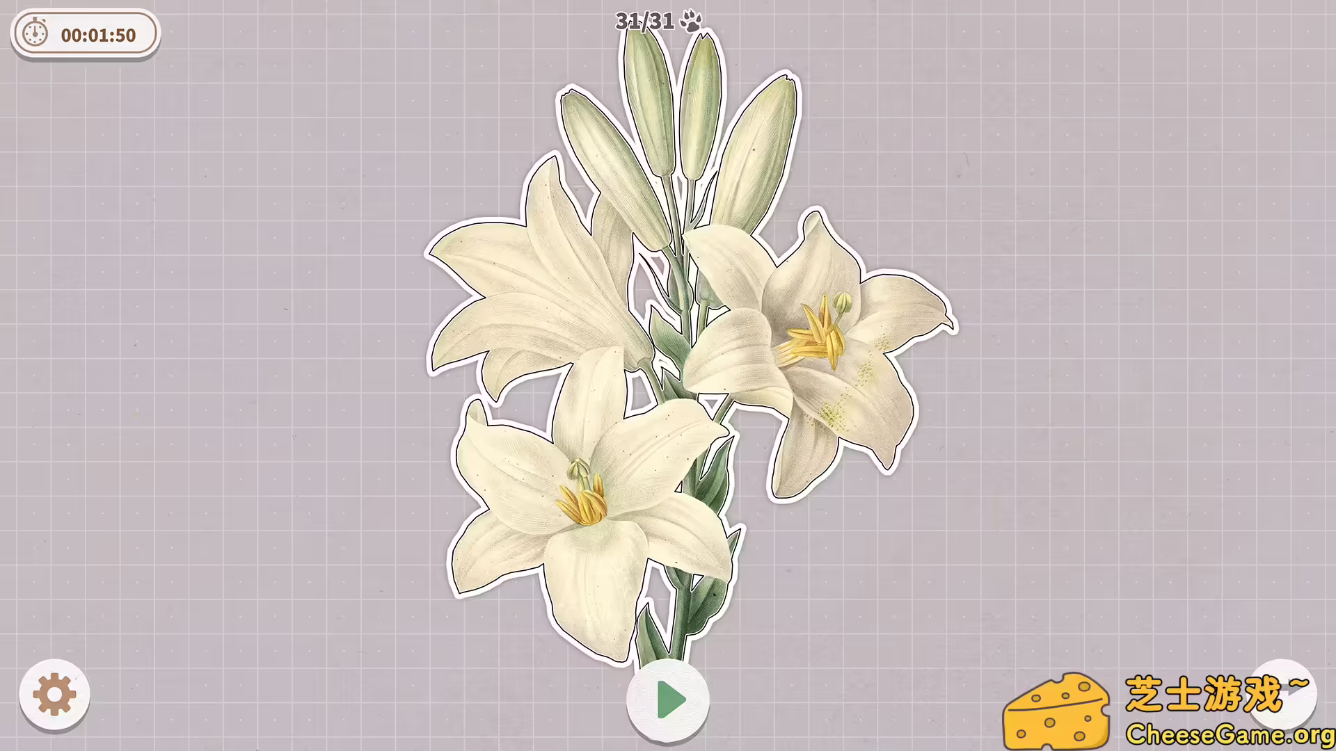 图片[3] [PC]挤在一起的植物/Plants Huddled Together | 学习版单机游戏免费下载-CheeseGame-芝士游戏