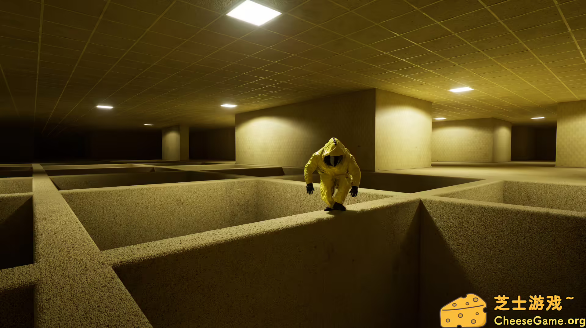 图片[3] [PC]后室：一起逃脱/Backrooms: Escape Together | 学习版单机游戏免费下载-CheeseGame-芝士游戏