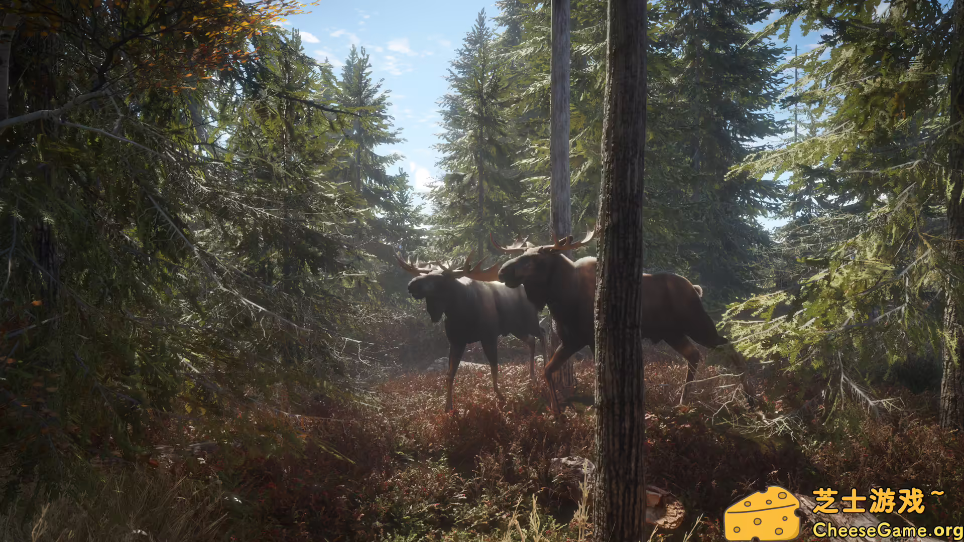 图片[1] [PC]猎人：荒野的召唤/theHunter: Call of the Wild | 学习版单机游戏免费下载-CheeseGame-芝士游戏