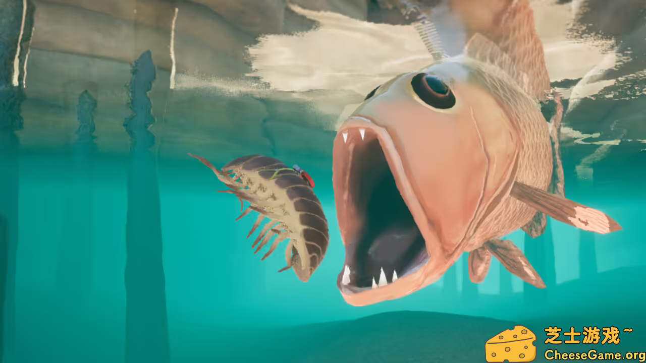 图片[2] [PC]等足虫：网境外传/Isopod: A Webbed Spin-off | 学习版单机游戏免费下载-CheeseGame-芝士游戏