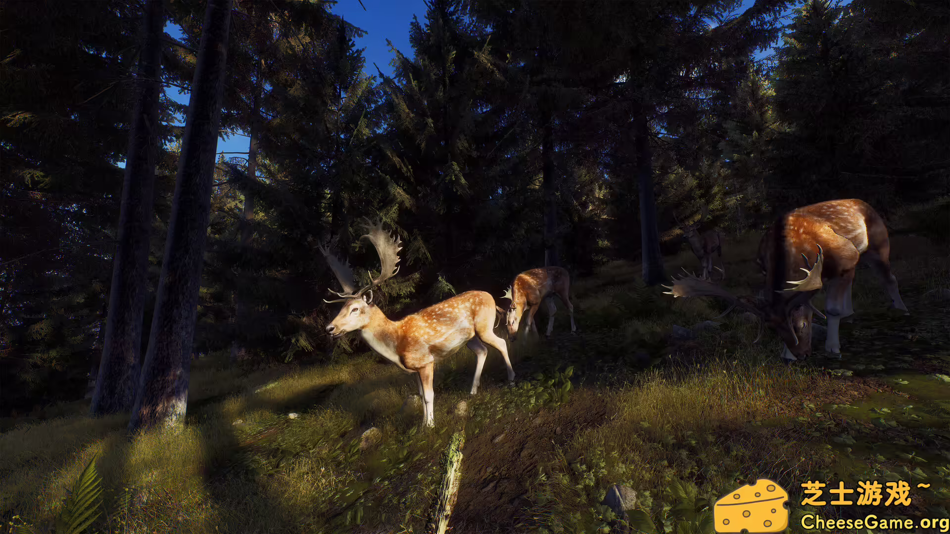 图片[2] [PC]狩猎之道/猎人之路/Way of the Hunter | 学习版单机游戏免费下载-CheeseGame-芝士游戏