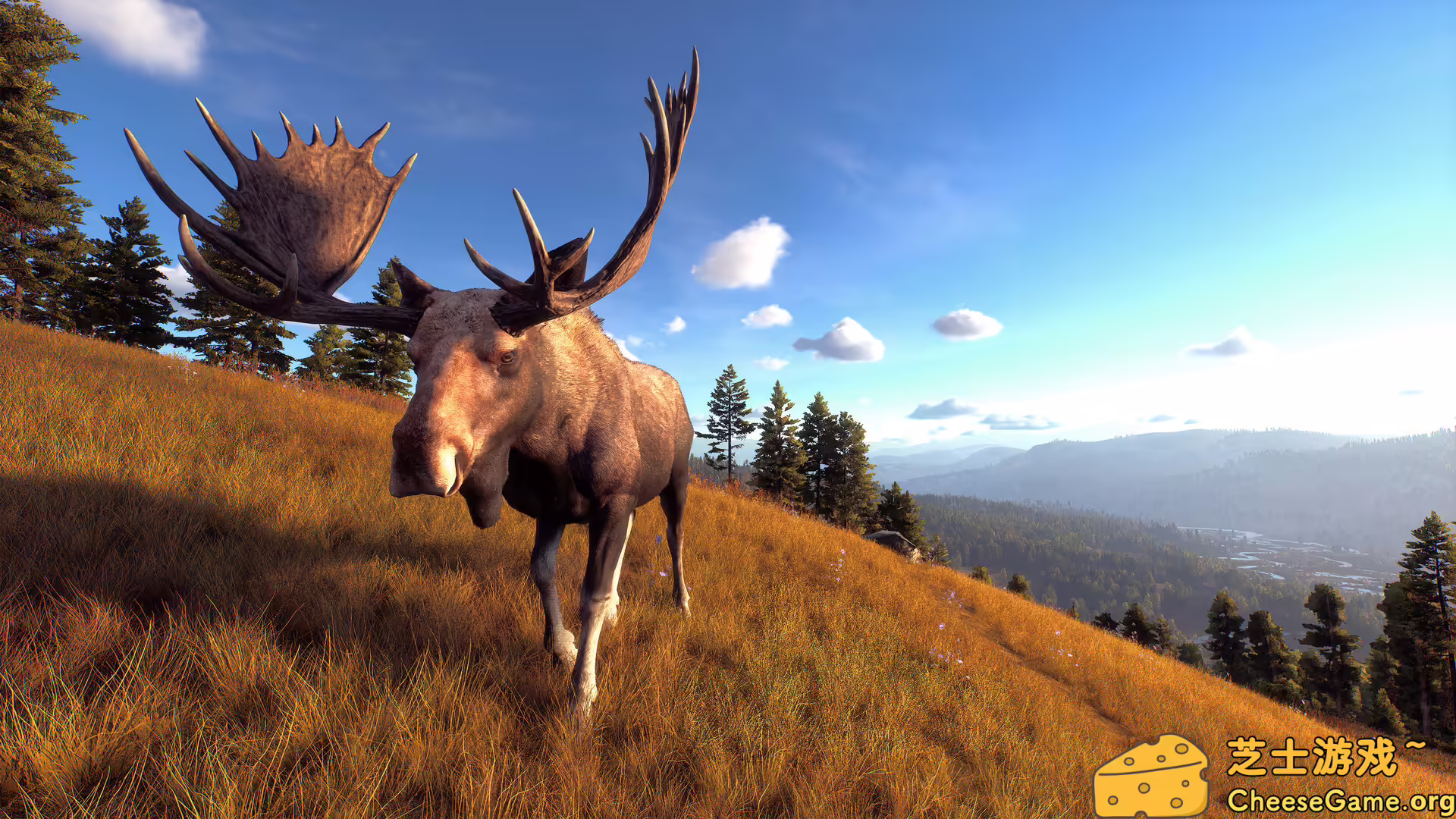 图片[8] [PC]狩猎之道/猎人之路/Way of the Hunter | 学习版单机游戏免费下载-CheeseGame-芝士游戏