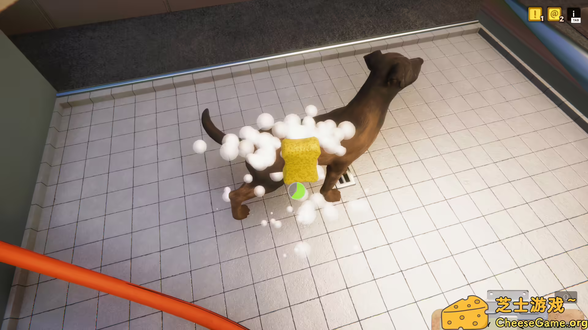 图片[2] [PC]动物收容所/Animal Shelter | 学习版单机游戏截图-CheeseGame-芝士游戏