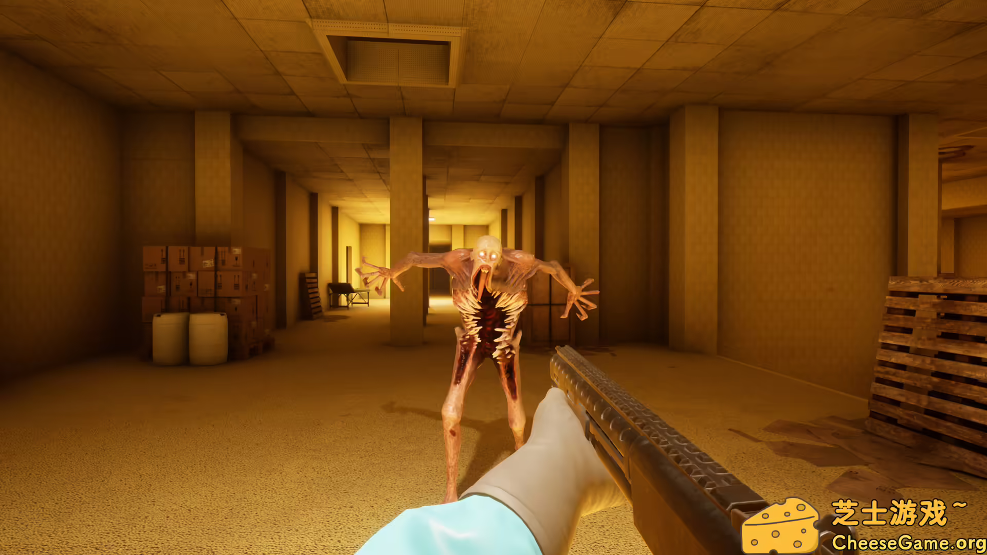 图片[5] [PC]BACKROOMS: 恐惧/BACKROOMS: APPREHENSION | 学习版单机游戏截图-CheeseGame-芝士游戏