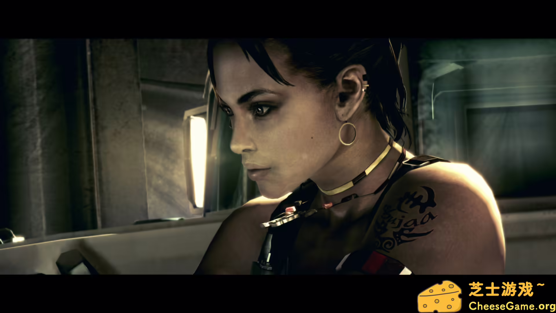 图片[6] [PC]生化危机5：黄金版/Resident Evil 5：Gold Edition | 学习版单机游戏截图-CheeseGame-芝士游戏