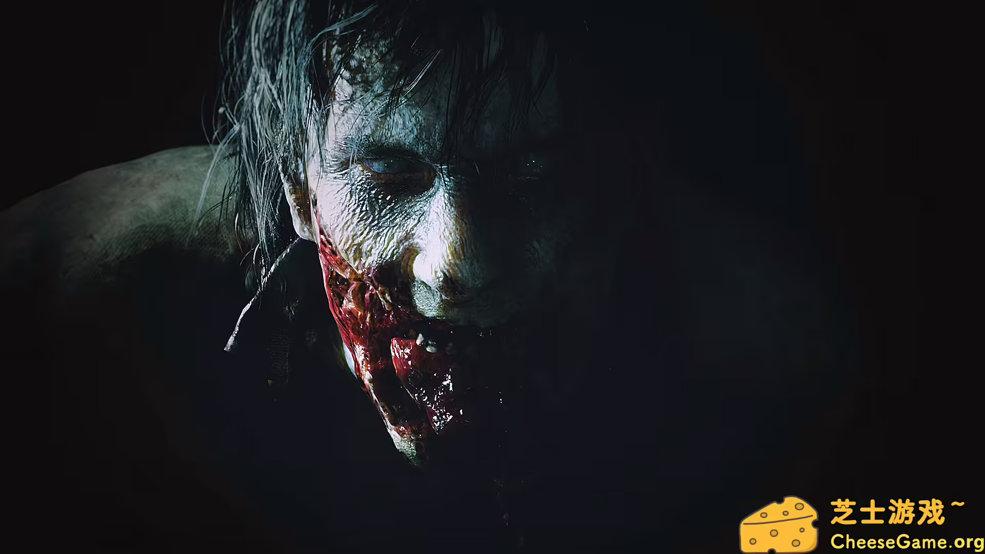 图片[6] [PC]生化危机2：重制版/Resident Evil 2:Remake | 学习版单机游戏截图-CheeseGame-芝士游戏