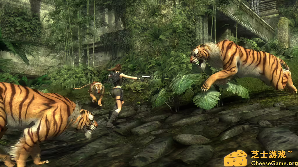 图片[5] [PC]古墓丽影8：地下世界/Tomb Raider: Underworld/附1-7历代 | 学习版单机游戏截图-CheeseGame-芝士游戏