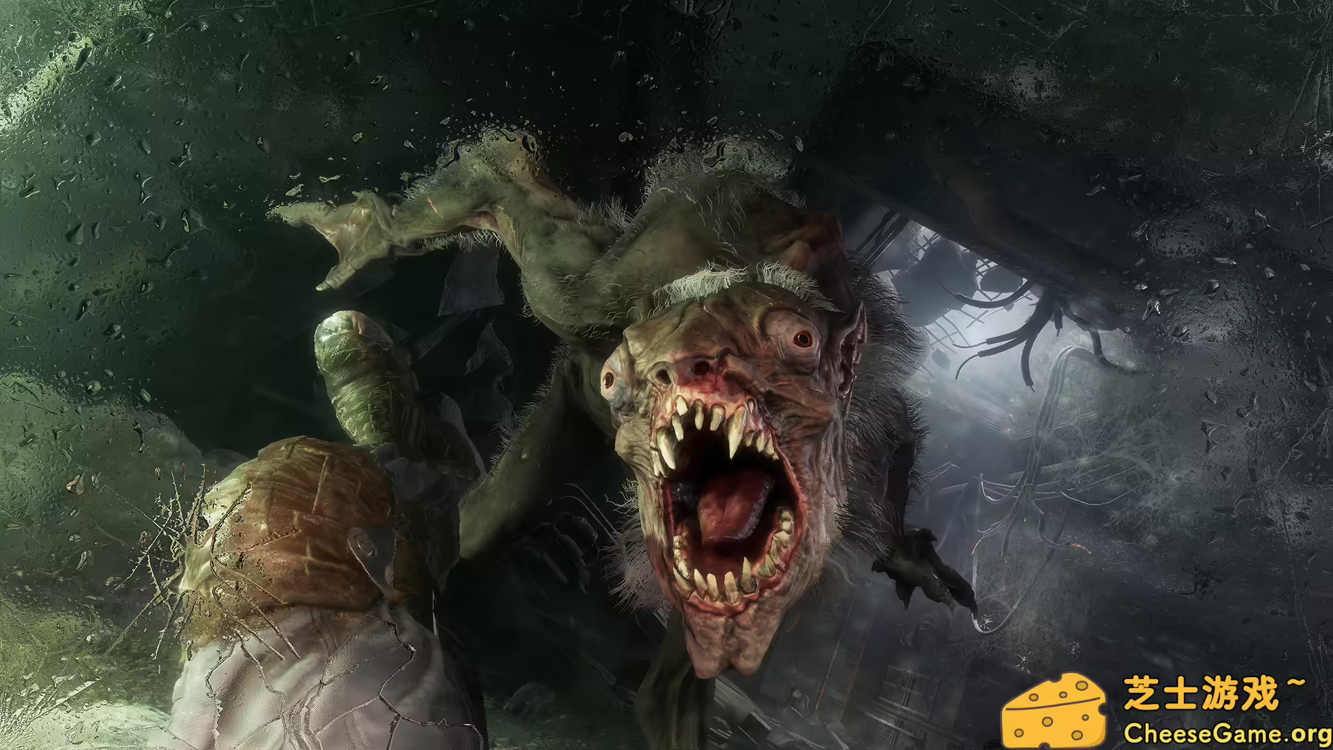 图片[6] [PC]地铁：离去/地铁：逃离/Metro Exodus Enhanced Edition | 学习版单机游戏截图-CheeseGame-芝士游戏