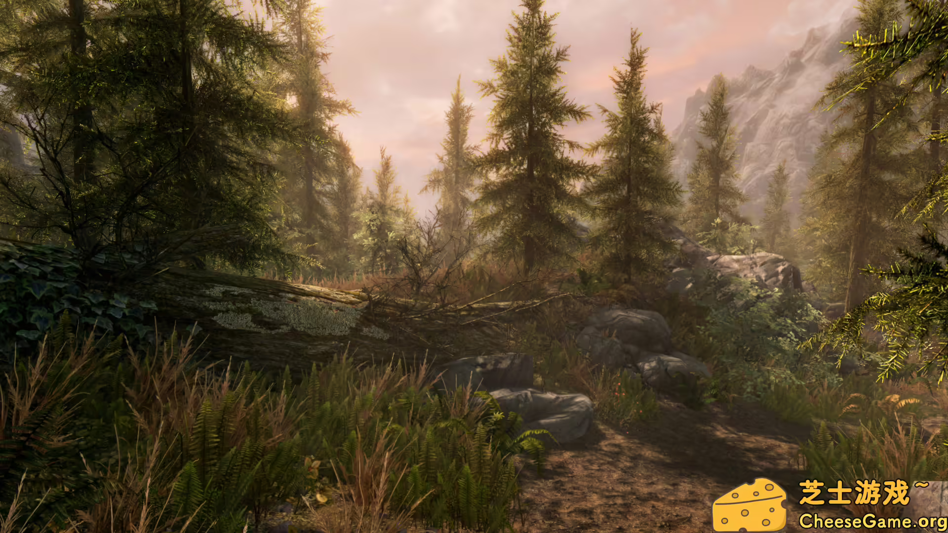 图片[7] [PC]上古卷轴5：周年纪念版/上古卷轴5：天际10周年重制版/The Elder Scrolls V: Skyrim Special Edition | 学习版单机游戏截图-CheeseGame-芝士游戏