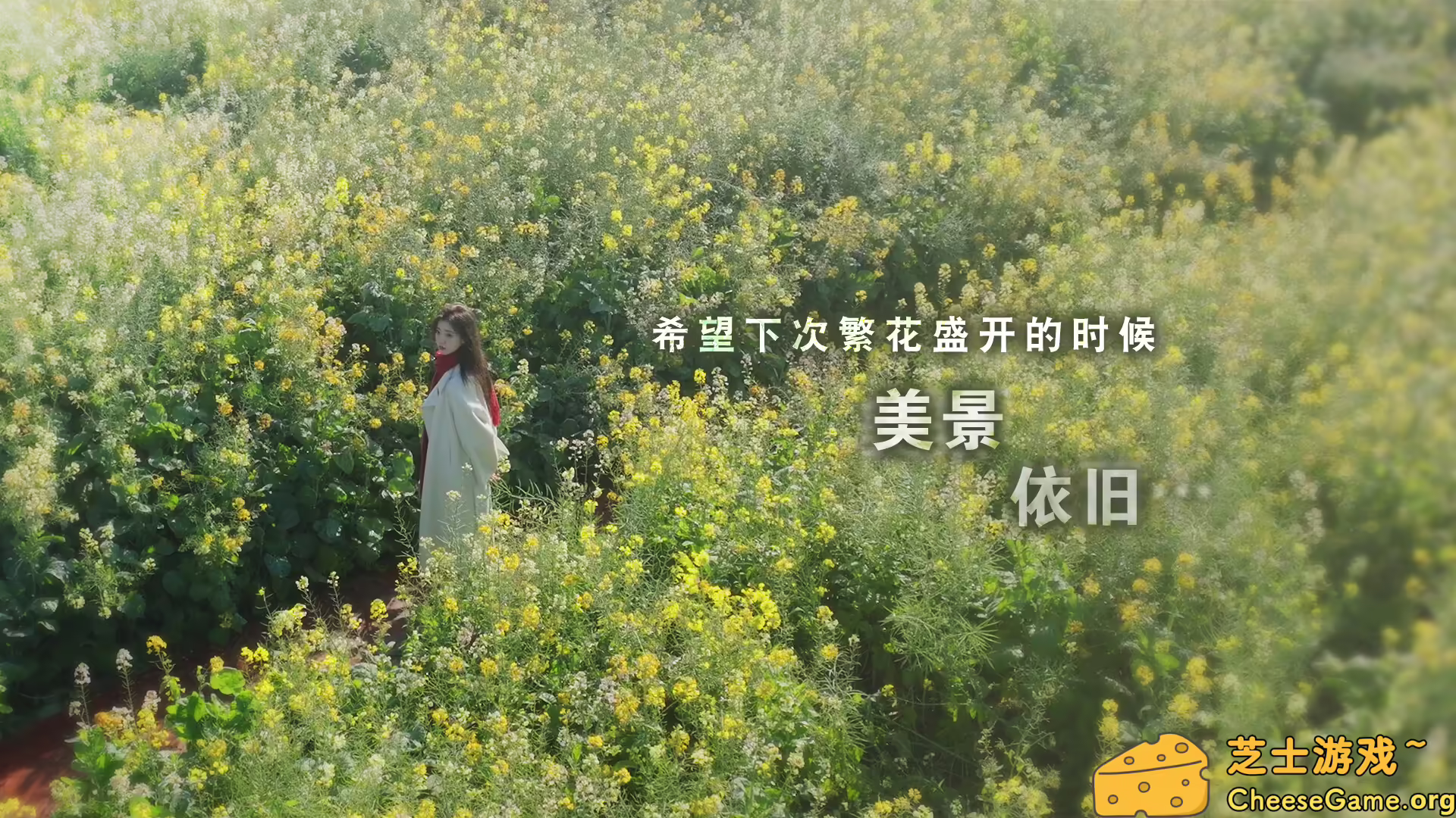 图片[1] [PC]这个是真的喜欢！/I've Fallen For You! | 学习版单机游戏截图-CheeseGame-芝士游戏