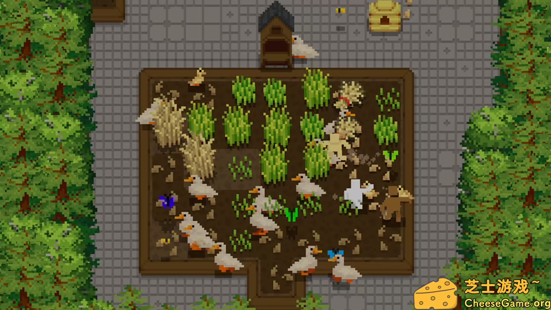 图片[2] [PC]小梯田/Tiny Terraces | 学习版单机游戏截图-CheeseGame-芝士游戏