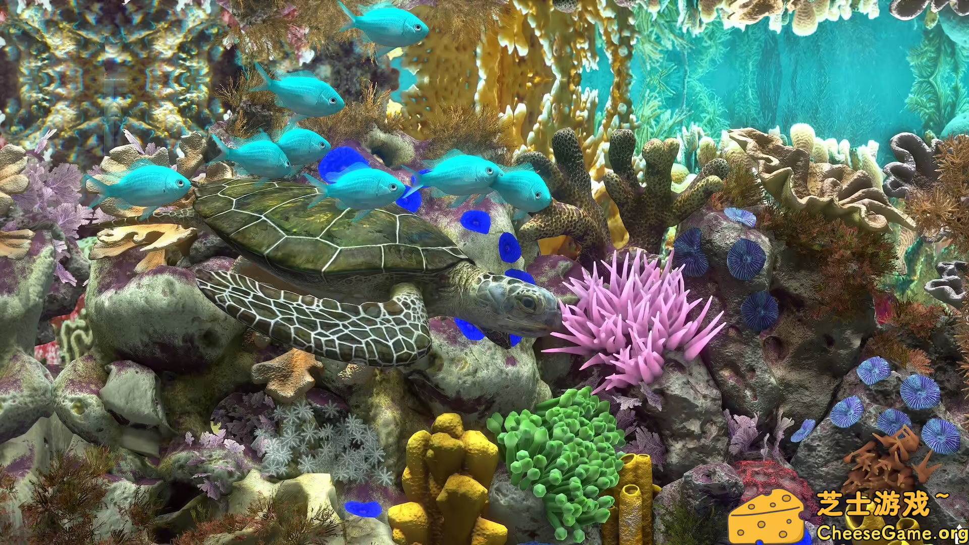 图片[2] [PC]玻璃背后：水族馆模拟器/Behind Glass: Aquarium Simulator | 学习版单机游戏截图-CheeseGame-芝士游戏