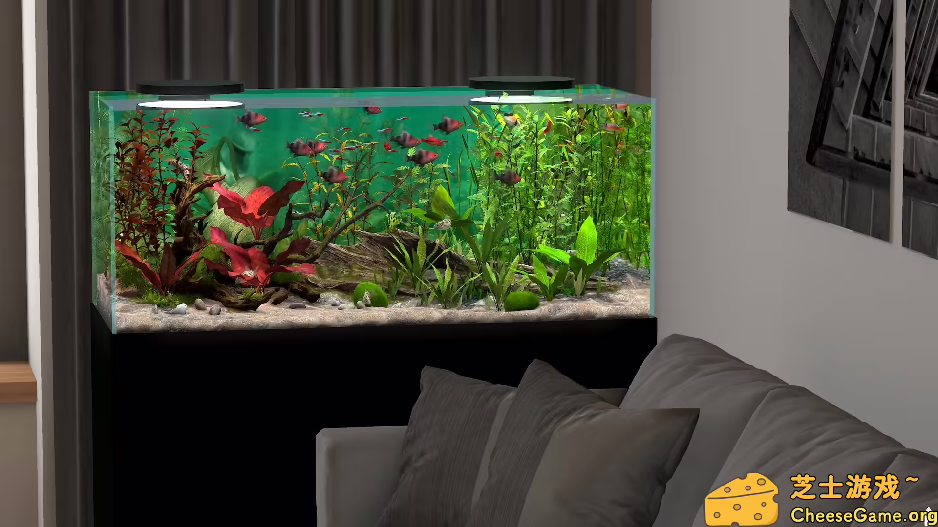 图片[3] [PC]玻璃背后：水族馆模拟器/Behind Glass: Aquarium Simulator | 学习版单机游戏截图-CheeseGame-芝士游戏