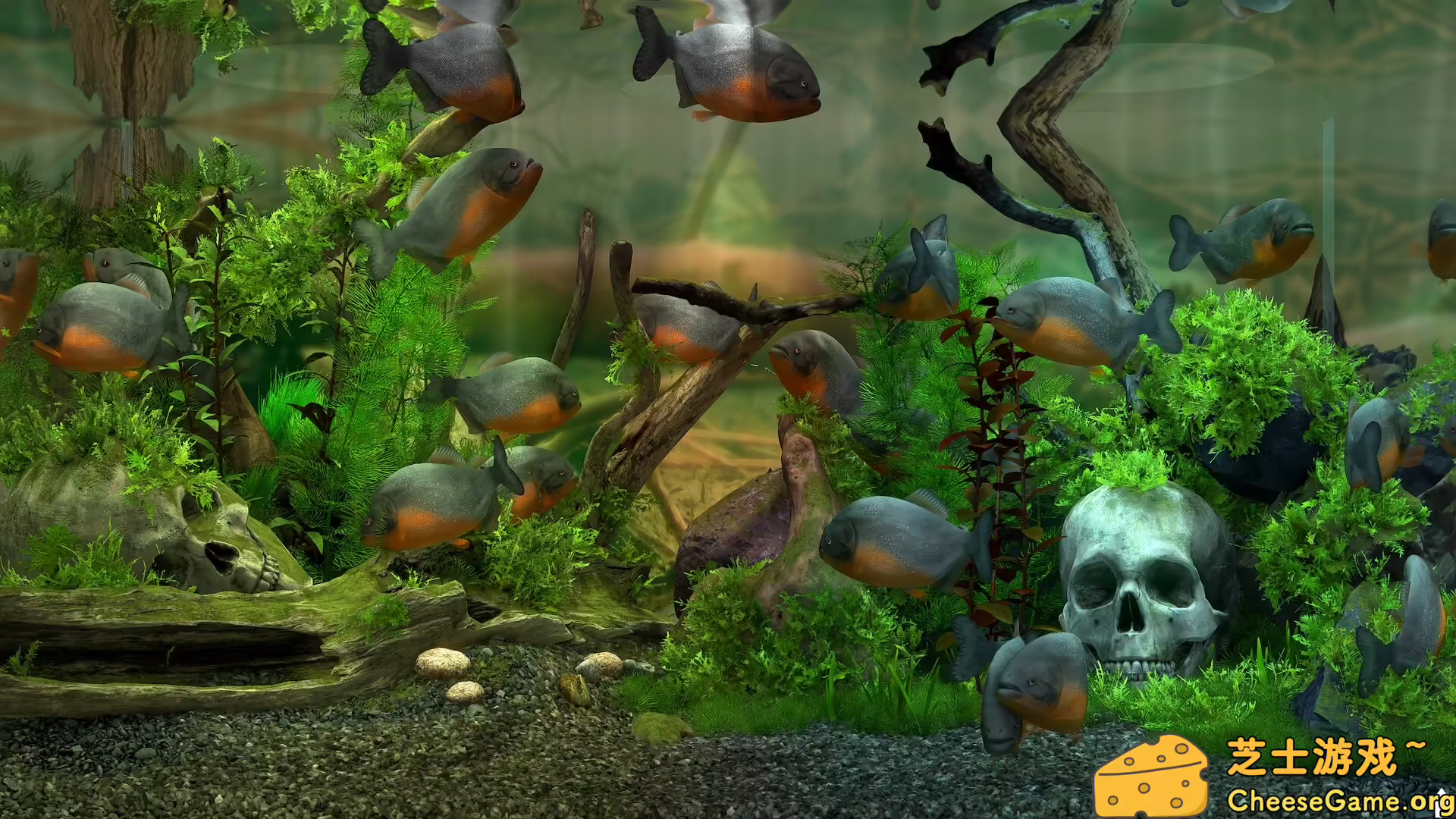 图片[5] [PC]玻璃背后：水族馆模拟器/Behind Glass: Aquarium Simulator | 学习版单机游戏截图-CheeseGame-芝士游戏