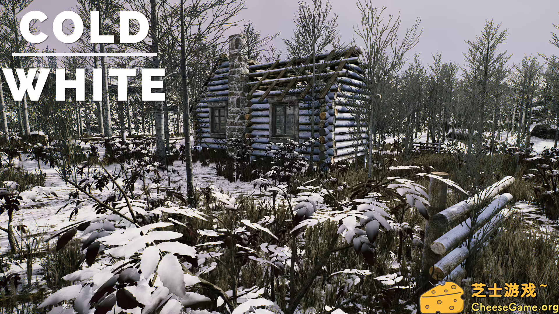 图片[1] [PC]冷白/The Cold White | 游戏截图-CheeseGame-芝士游戏