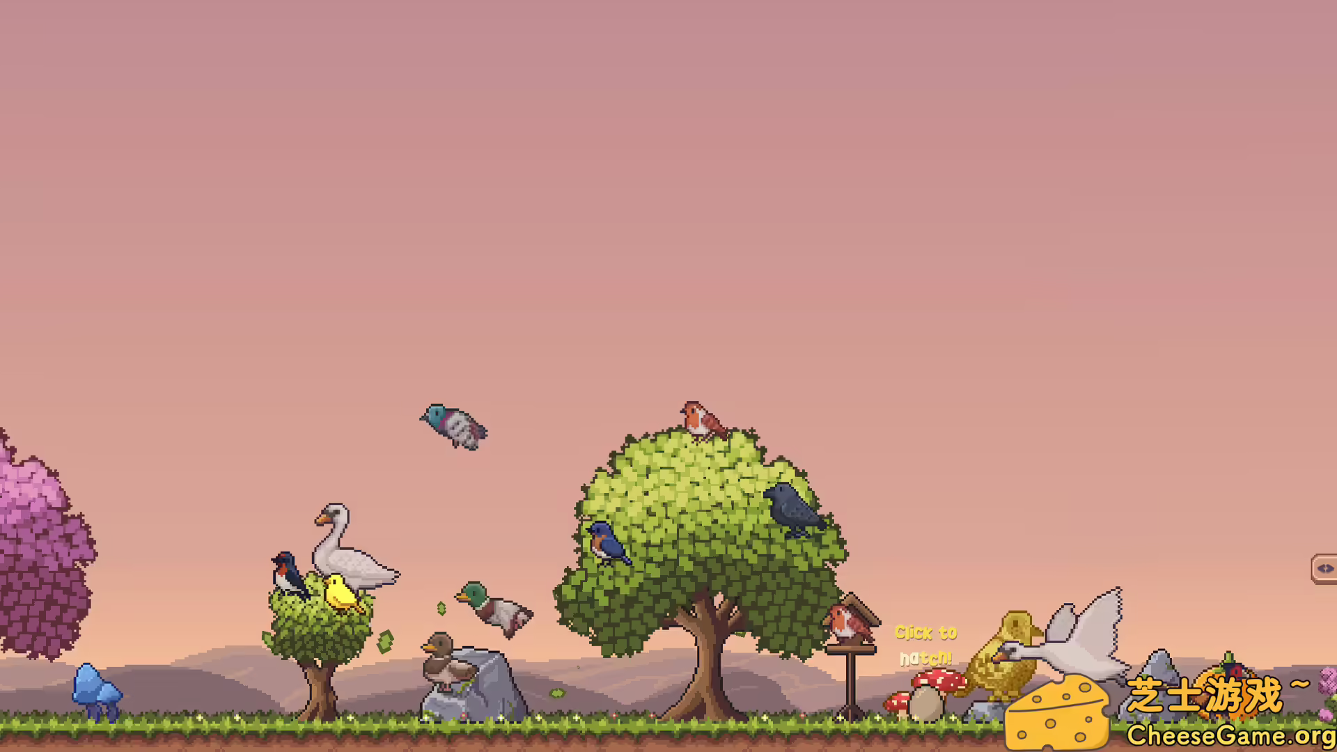 图片[1] [PC]桌面鸟舍：小小鸟陪你摸大鱼/Little Aviary | 游戏截图-CheeseGame-芝士游戏
