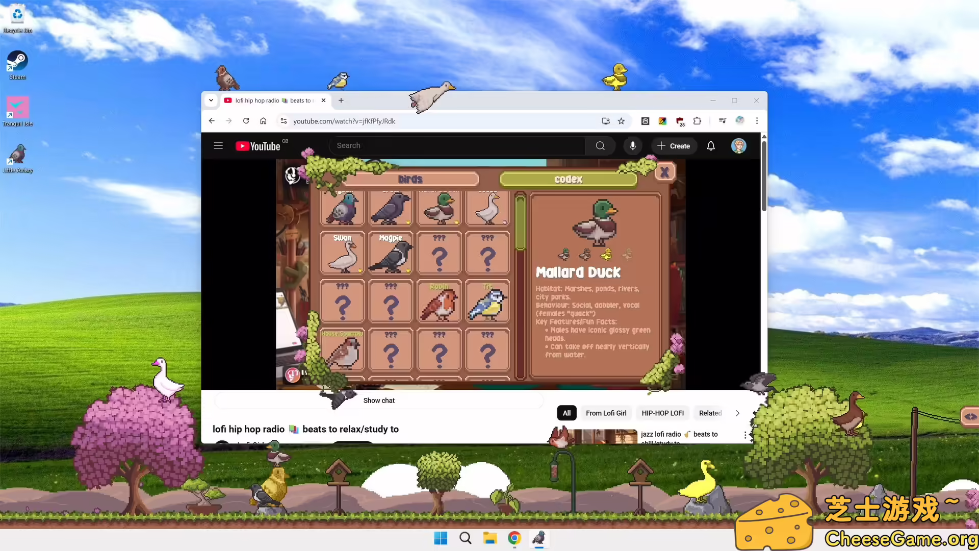 图片[3] [PC]桌面鸟舍：小小鸟陪你摸大鱼/Little Aviary | 游戏截图-CheeseGame-芝士游戏