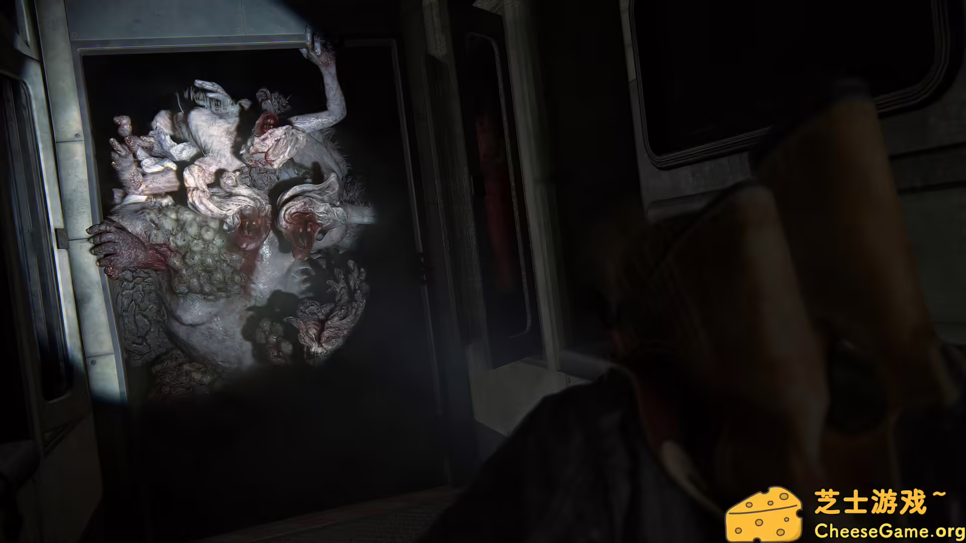 图片[6] [PC]最后生还者2：重制版/美国末日2/The Last of Us Part II Remastered | 游戏截图-CheeseGame-芝士游戏