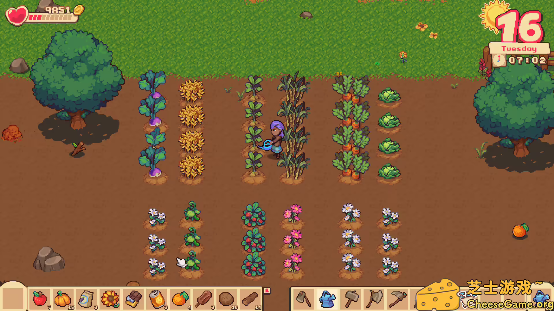 图片[1] [PC]牧场物语：橙色季节/Orange Season | 游戏截图-CheeseGame-芝士游戏