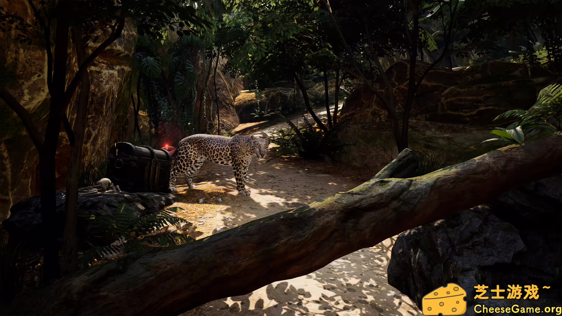 图片[6] [PC]海盗VR: 海盗旗/Pirates VR: Jolly Roger | 游戏截图-CheeseGame-芝士游戏