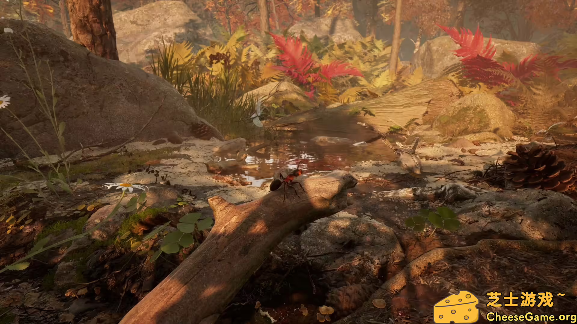 图片[5] [PC]蚂蚁帝国/Empire of the Ants | 游戏截图-CheeseGame-芝士游戏