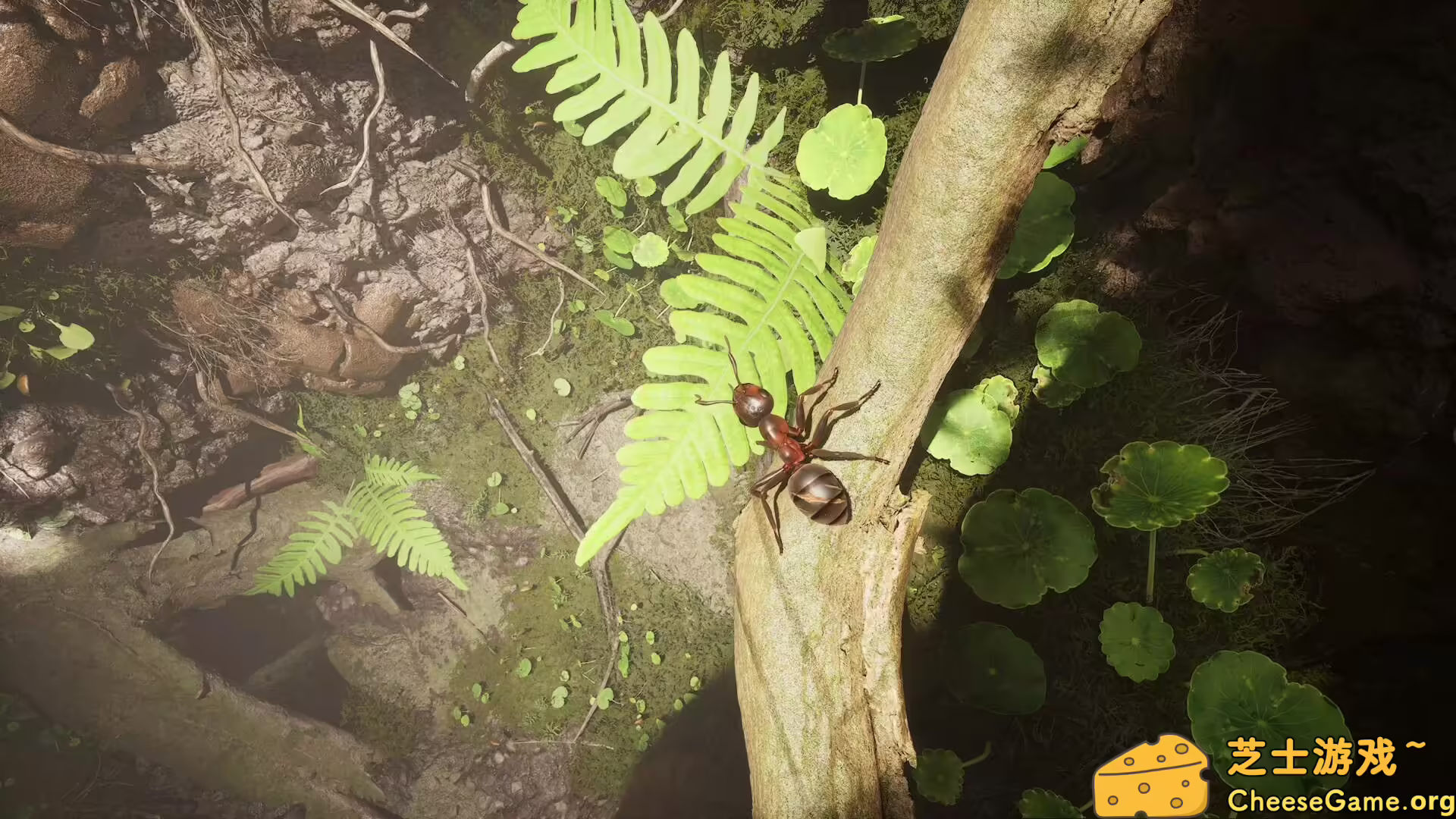 图片[6] [PC]蚂蚁帝国/Empire of the Ants | 游戏截图-CheeseGame-芝士游戏