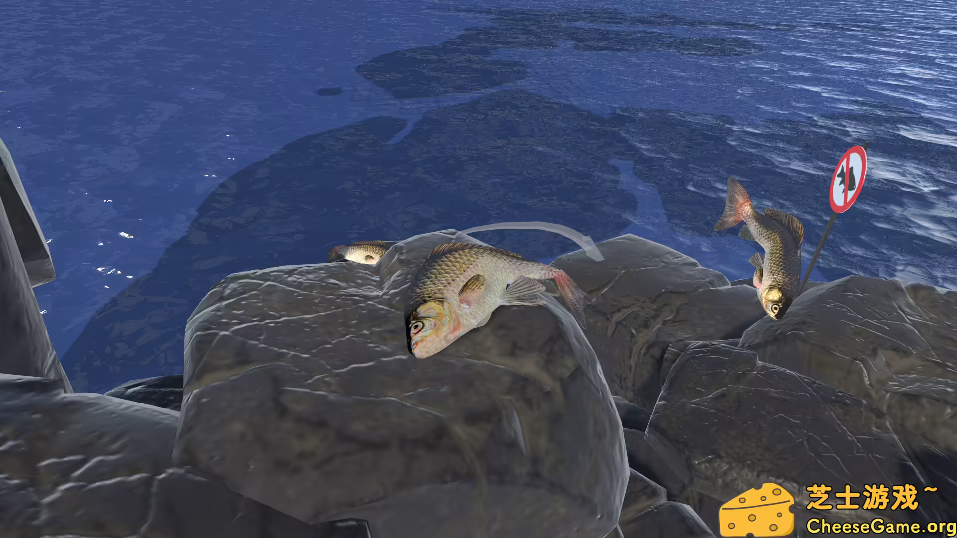 图片[2] [PC]咸鱼翻身/Fish Hero | 游戏截图-CheeseGame-芝士游戏