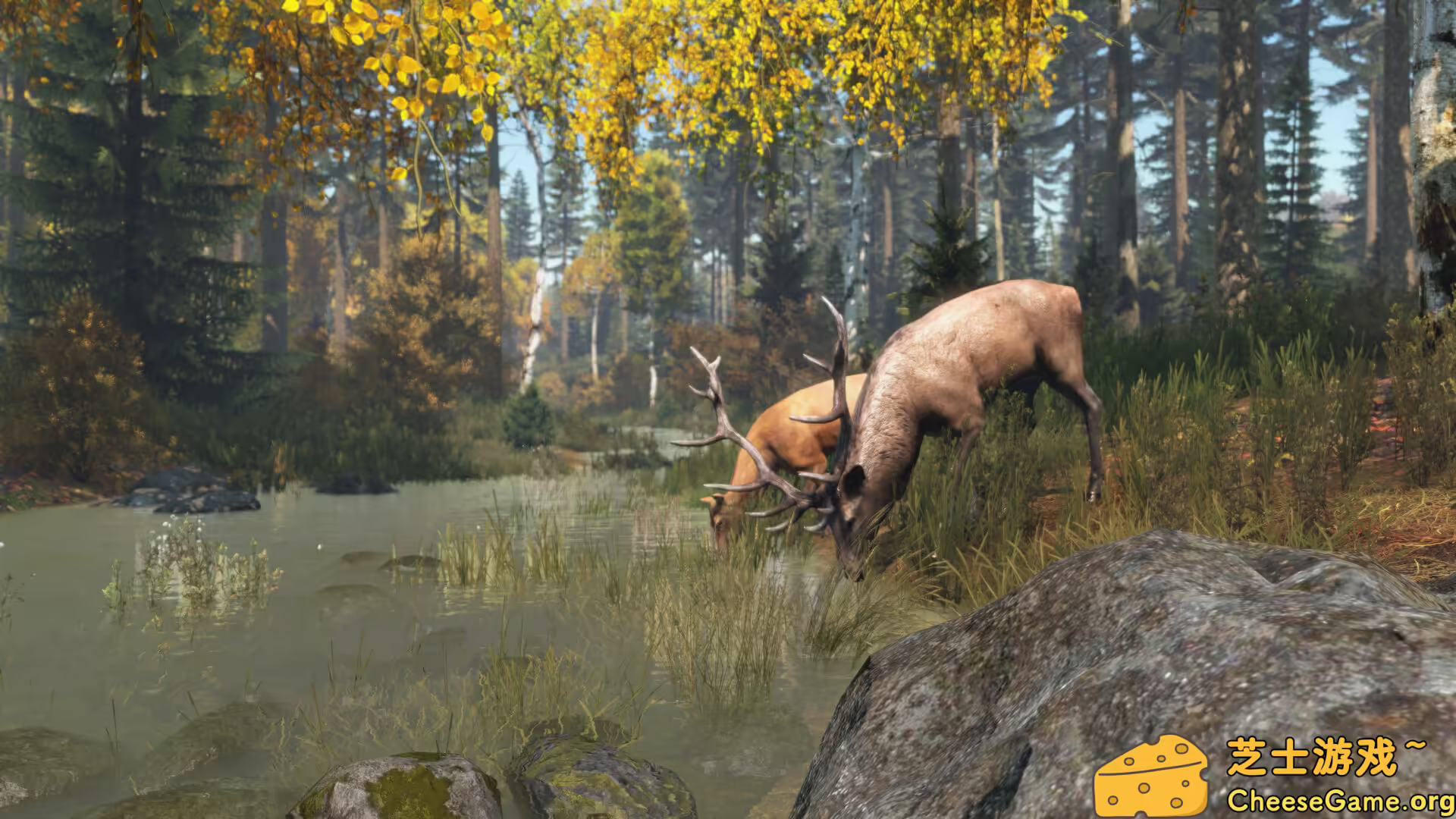 图片[6] [PC]僵尸末日/DayZ | 游戏截图-CheeseGame-芝士游戏