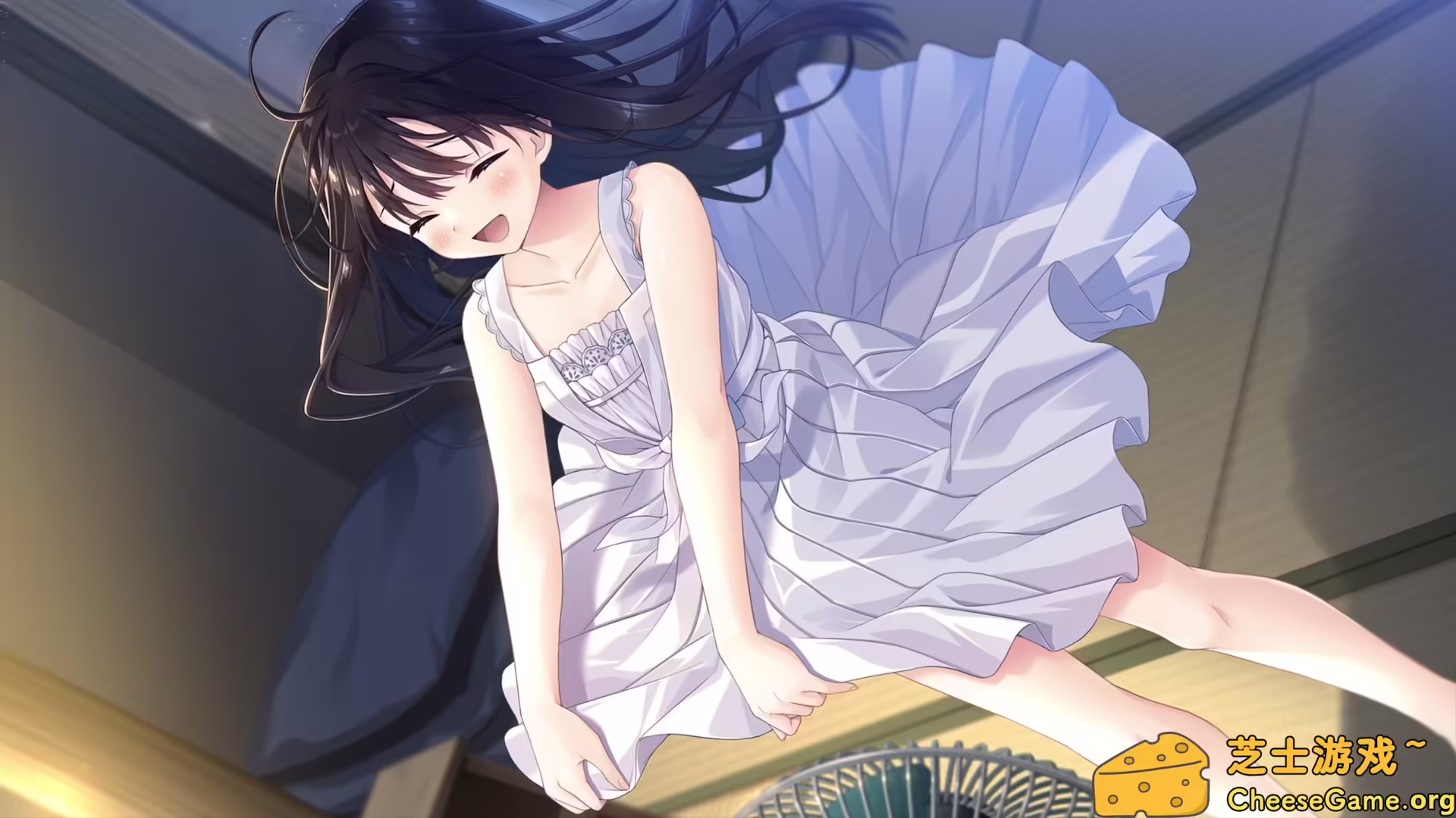 图片[5] [PC]痴情哥哥与病弱妹妹的乡间生活/Sickly Days and Summer Traces | 游戏截图-CheeseGame-芝士游戏