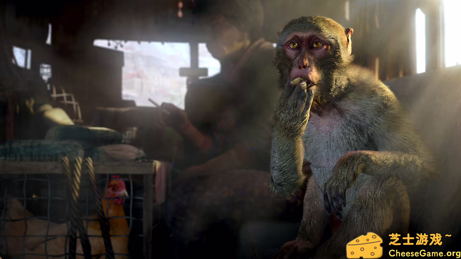 图片[3] [PC]孤岛惊魂4/Far Cry 4 | 游戏截图-CheeseGame-芝士游戏