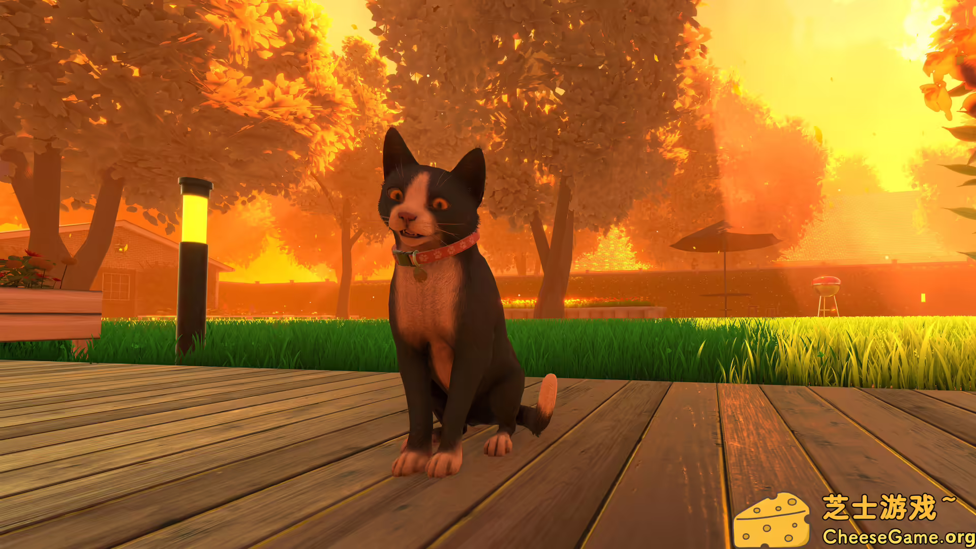 图片[2] [PC]冒牌猫谜/Copycat | 游戏截图-CheeseGame-芝士游戏