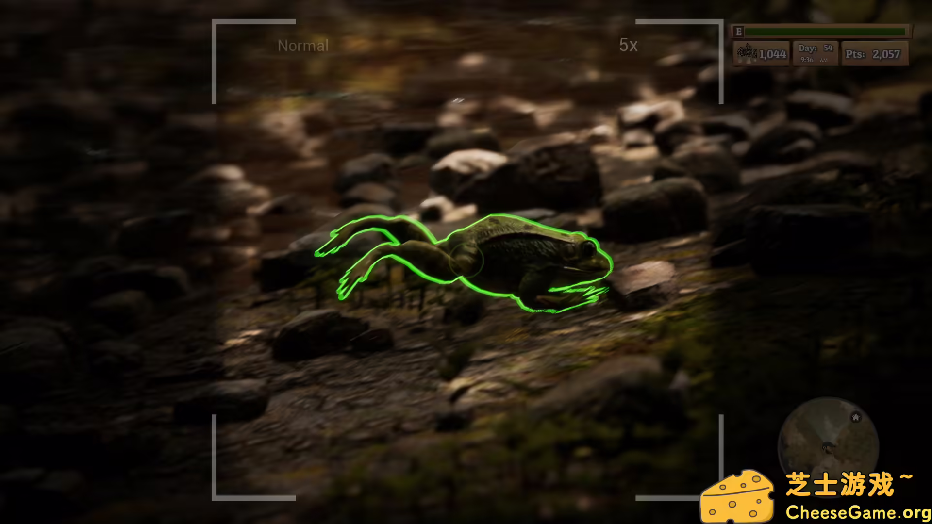 图片[6] [PC]羊肚菌：狩猎/Morels: The Hunt | 游戏截图-CheeseGame-芝士游戏