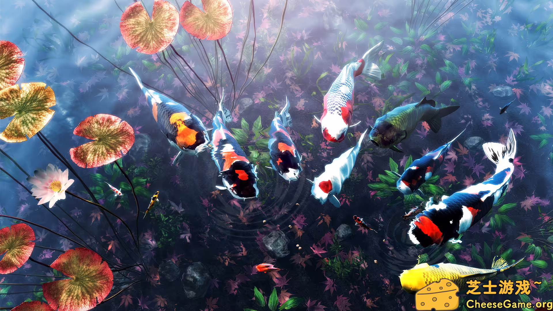 图片[4] [PC]我的锦鲤/My Koi | 游戏截图-CheeseGame-芝士游戏