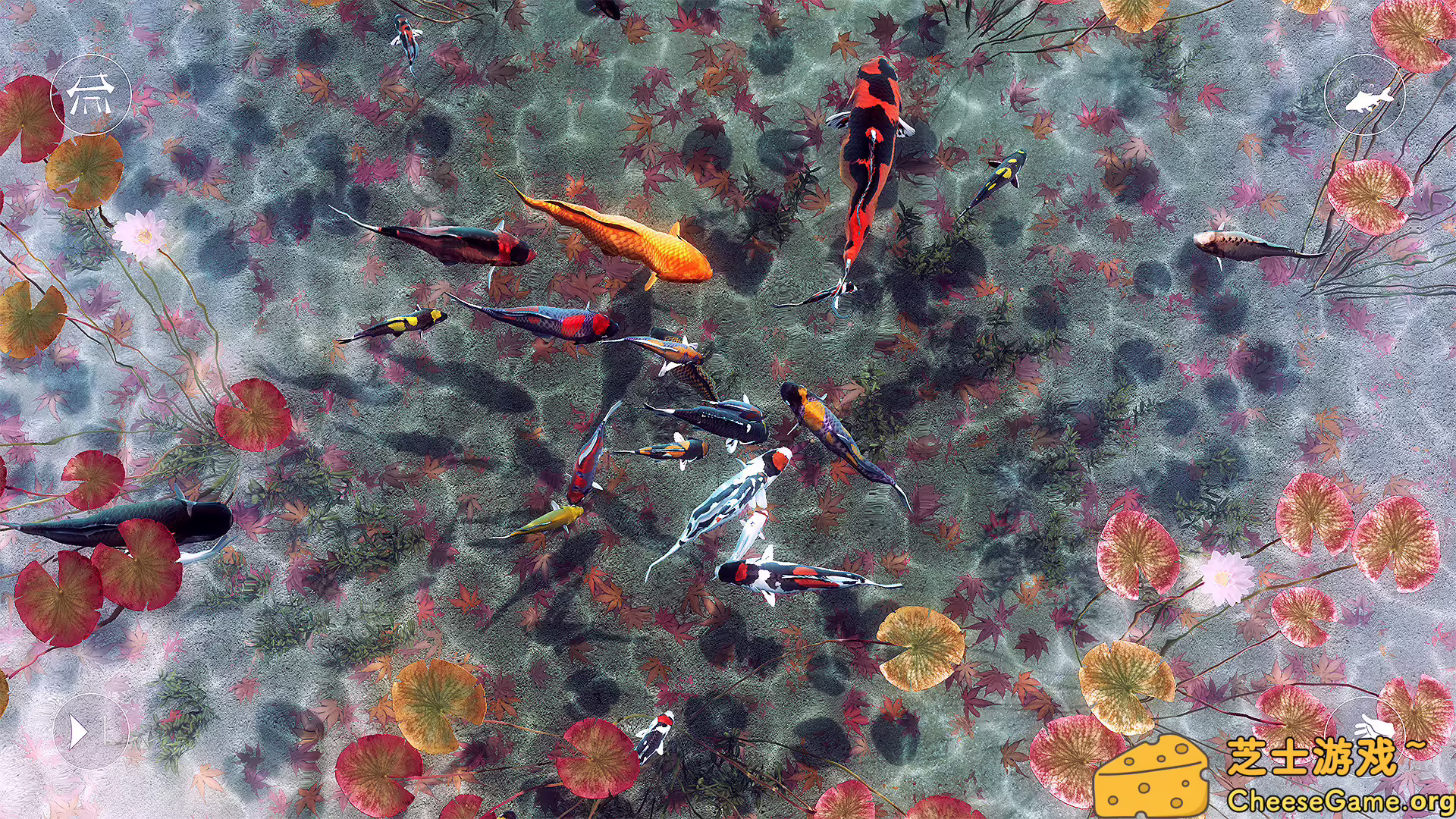 图片[5] [PC]我的锦鲤/My Koi | 游戏截图-CheeseGame-芝士游戏