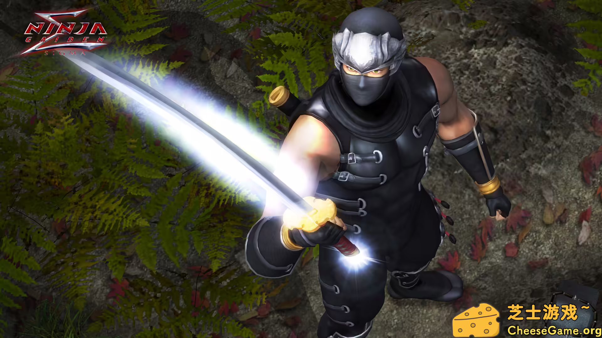 图片[5] [PC]忍者龙剑传：大师合集/NINJA GAIDEN: Master Collection | 游戏截图-CheeseGame-芝士游戏