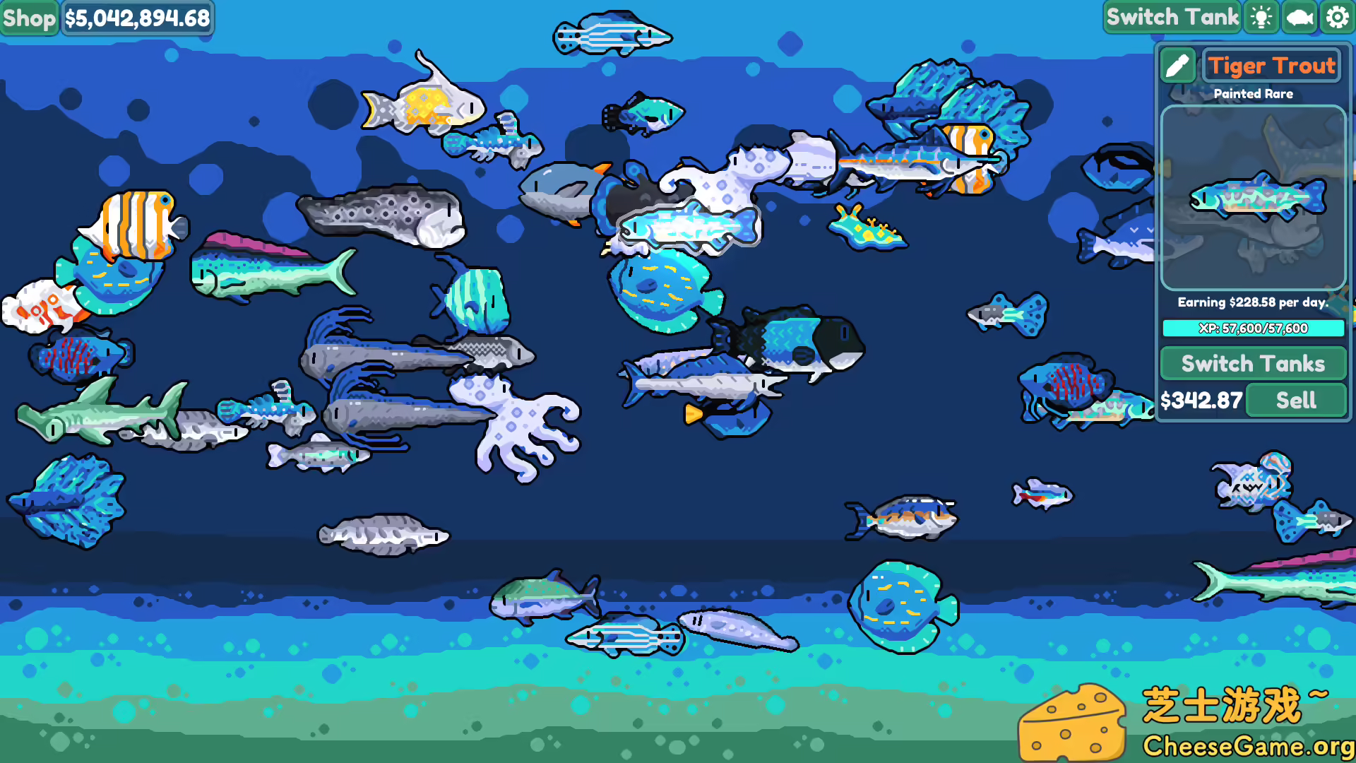 图片[1] [PC]轻松水族馆/Chillquarium | 游戏截图-CheeseGame-芝士游戏