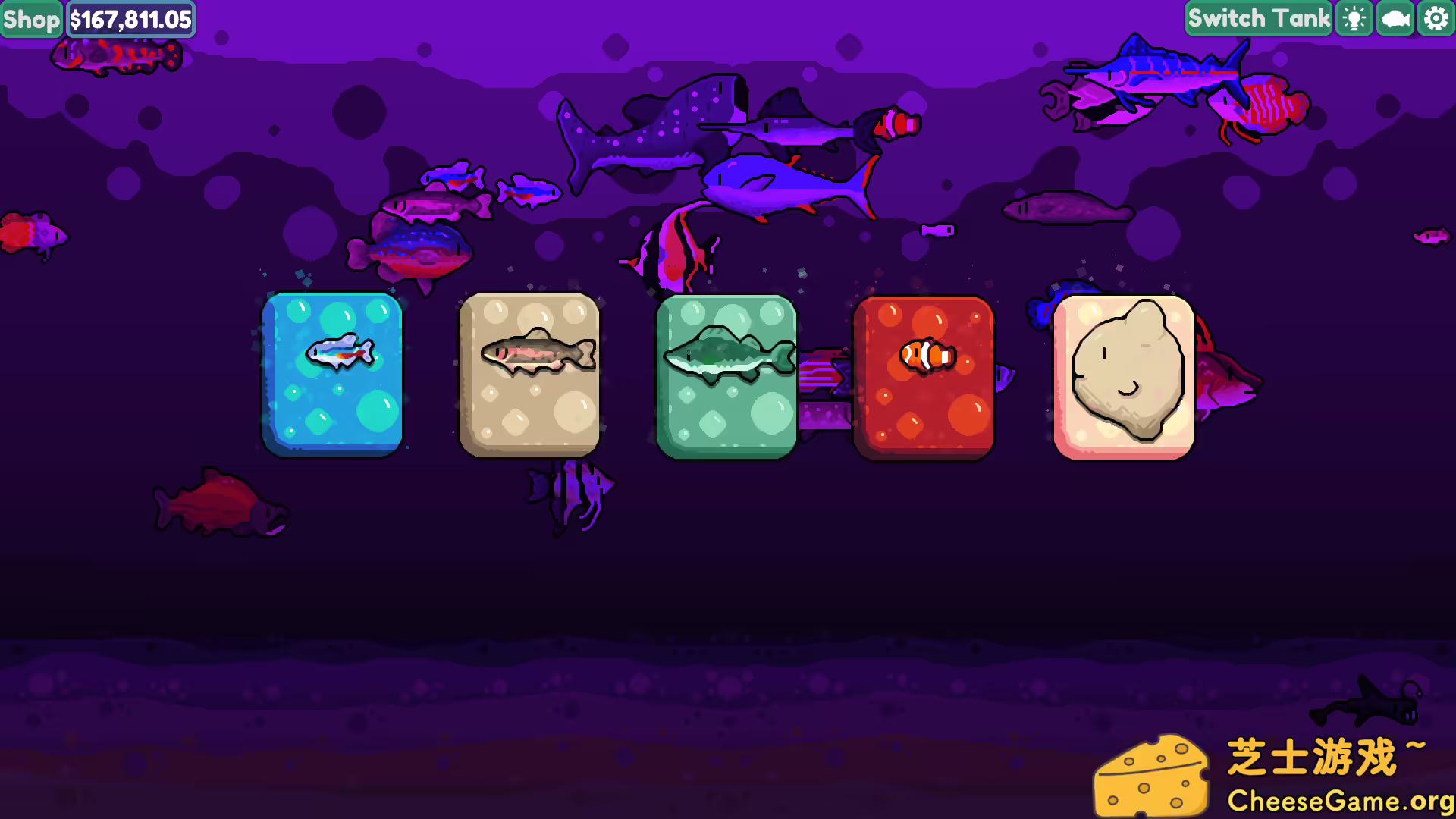 图片[2] [PC]轻松水族馆/Chillquarium | 游戏截图-CheeseGame-芝士游戏