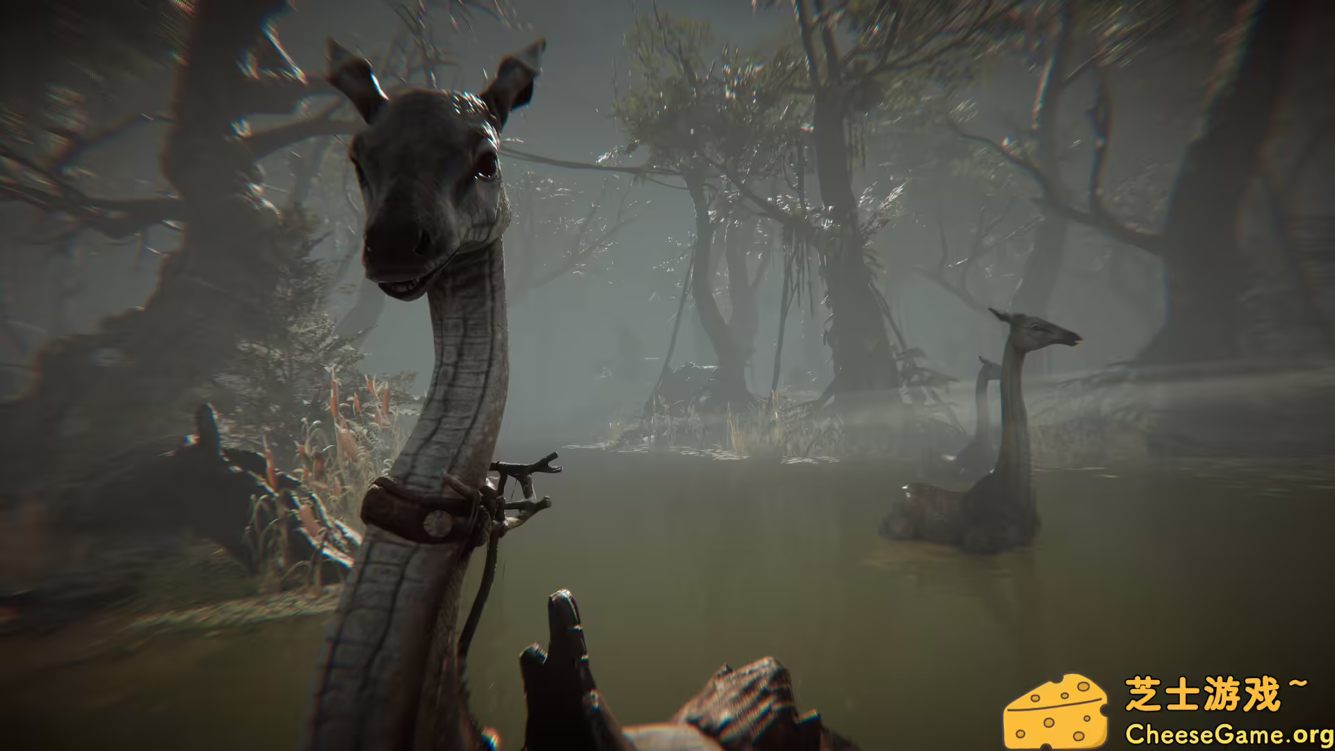 图片[5] [PC]Amerzone：探险家的记忆传承/Amerzone - The Explorer's Legacy | 游戏截图-CheeseGame-芝士游戏